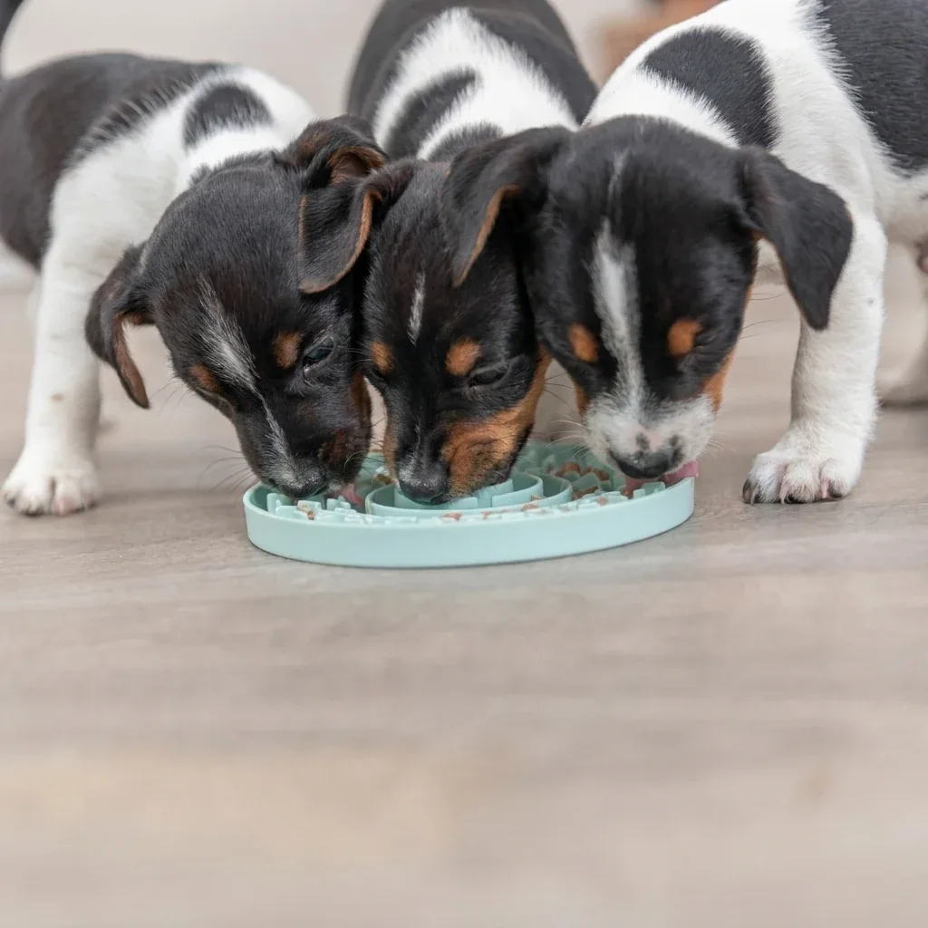 Junior Schleckmatte für Welpen 15 cm