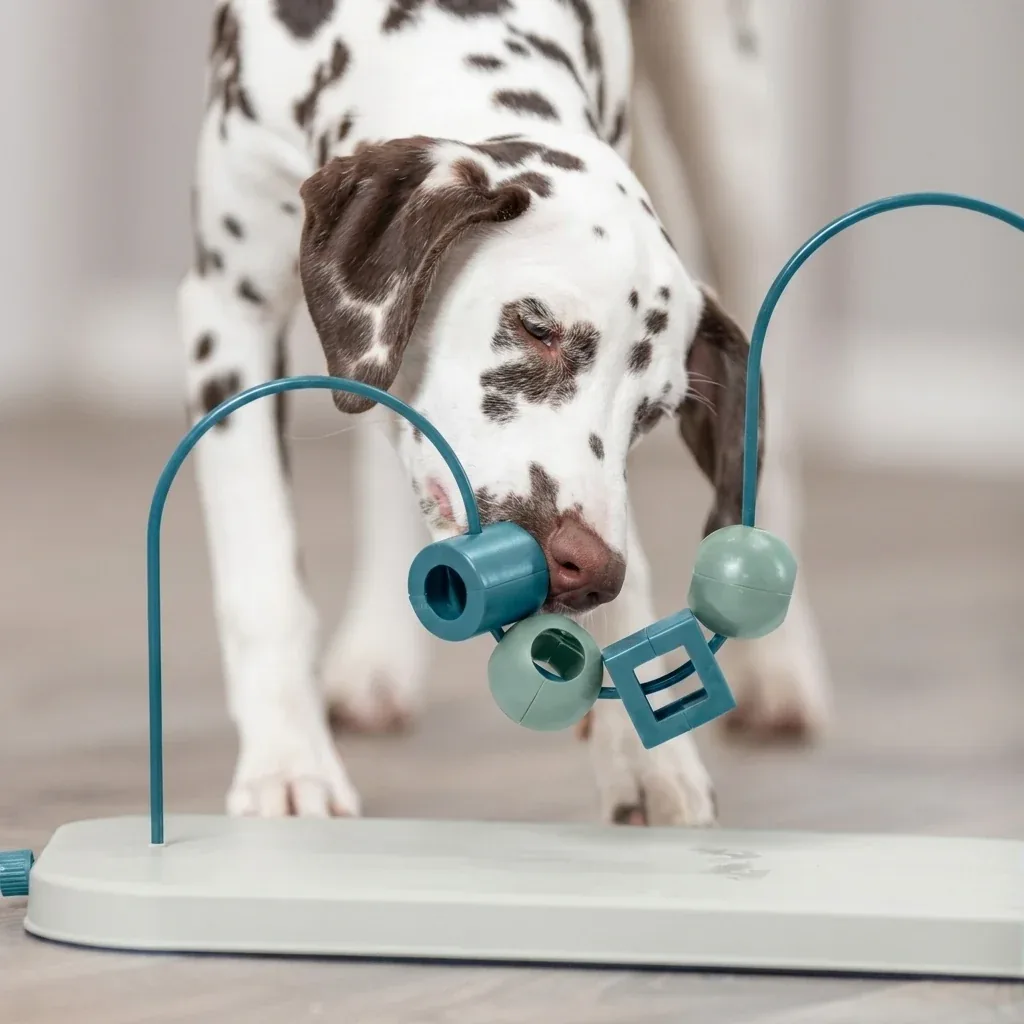Skills Loop Intelligenzspielzeug für Hunde